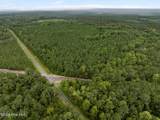 0 Old Sandhill Road - Photo 3