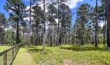 1005 Youngs Road - Photo 15