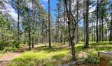 1005 Youngs Road - Photo 17