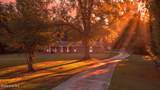 353 Gibson Dairy Road - Photo 31