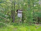 0 Indian Woods Road - Photo 12