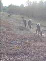 0 Indian Woods Road - Photo 24