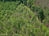 0 Indian Woods Road - Photo 64