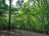 Lot 26 Longview Ridge - Photo 7