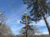 0 Barnett Road - Photo 19