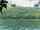 lot 41 Indian Lake Drive - Photo 1
