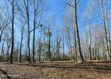 Lot 17 Redd Banks Lane - Photo 20