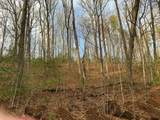 Lot 5 Ivy Log Road - Photo 2