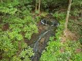 00 Walnut Cove Branch - Photo 1
