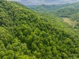00 Walnut Cove Branch - Photo 14