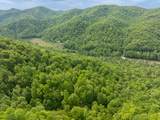00 Walnut Cove Branch - Photo 18
