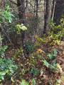 47/48 Little Secret Lane - Photo 10