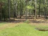 51a & 52 Sunset Point Road - Photo 10