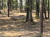 51a & 52 Sunset Point Road - Photo 12