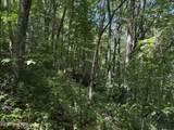 Lot 2 Amber Lane - Photo 1