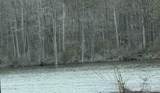 269 Creek Road - Photo 1
