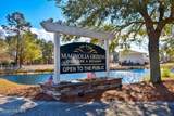 1119 Grandiflora Drive - Photo 47