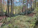 Lot 17 Black Bear Trail - Photo 1