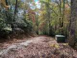 Lot 17 Black Bear Trail - Photo 2