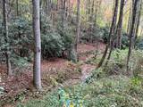 Lot 17 Black Bear Trail - Photo 3