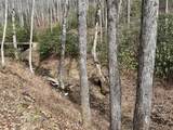 Lot 17 Black Bear Trail - Photo 7