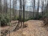 Lot 17 Black Bear Trail - Photo 8