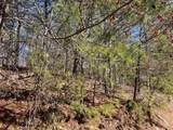 Lot 19 Mission Ridge - Photo 9