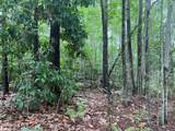 0 Lake Cole Road - Photo 16
