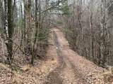 19 Lots Crockett - Photo 10