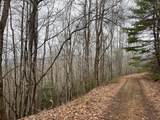 19 Lots Crockett - Photo 11