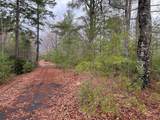 19 Lots Crockett - Photo 40