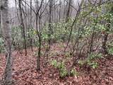 19 Lots Crockett - Photo 44