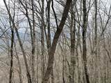 19 Lots Crockett - Photo 6