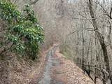 19 Lots Crockett - Photo 7