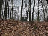 19 Lots Crockett - Photo 8