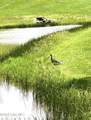 Tbd Nature Valley Trail - Photo 11