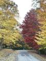 Tbd Nature Valley Trail - Photo 12