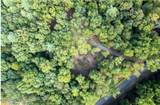 Tbd Nature Valley Trail - Photo 13