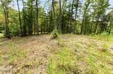 Tbd Nature Valley Trail - Photo 8