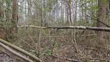 0 Wood Lane - Photo 136