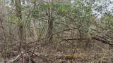 0 Wood Lane - Photo 141