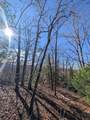 LOT 31 Tower Falls Lane - Photo 11