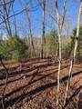 LOT 31 Tower Falls Lane - Photo 13