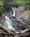 LOT 31 Tower Falls Lane - Photo 31