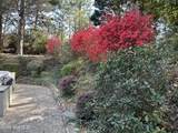 20 Walnut Creek Road - Photo 55