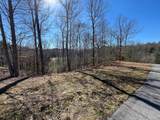 17 Fish Hawk Ridge - Photo 3