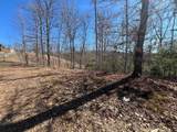 17 Fish Hawk Ridge - Photo 4