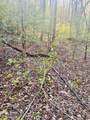 Lot 5 Carringer Road - Photo 10