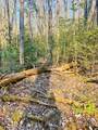 Lot 5 Carringer Road - Photo 11