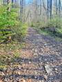 Lot 5 Carringer Road - Photo 12